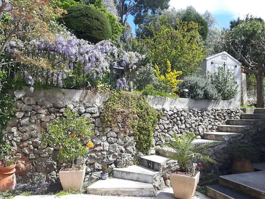 Apartment Haut De Villa Toulon Mourillon France